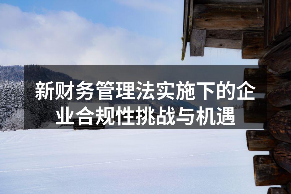 新财务管理法实施下的企业合规性挑战与机遇